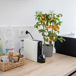 Appartement Casa Lima - Spacious Souterrain Close To The - Excellent For Workcation Torremolinos